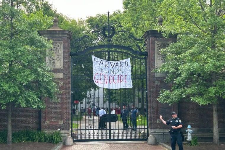 une bannière indique le désinvestissement de Harvard illustrant un article sur les campements d'étudiants américains